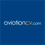 Pt. Indo Pacific Airlines company logo