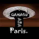 Asaparis Grup company logo