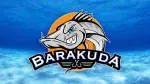 Barakuda Signature company logo