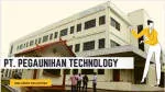 PT Pegaunihan Technology Indonesia company logo
