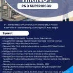 PT Skinberries Group Industri company icon
